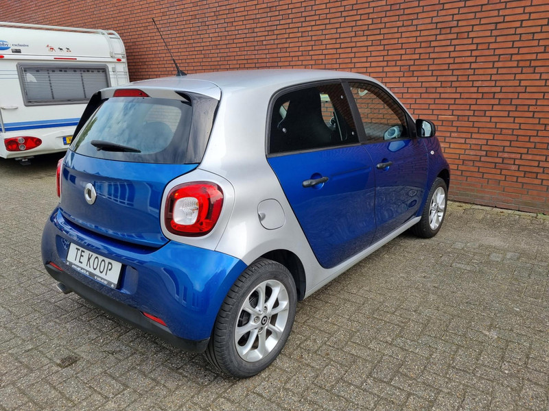 35645142-8.jpg